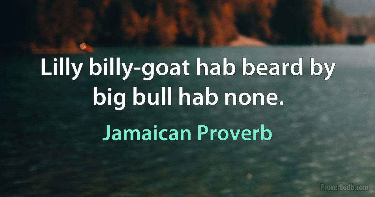 Lilly billy-goat hab beard by big bull hab none. (Jamaican Proverb)