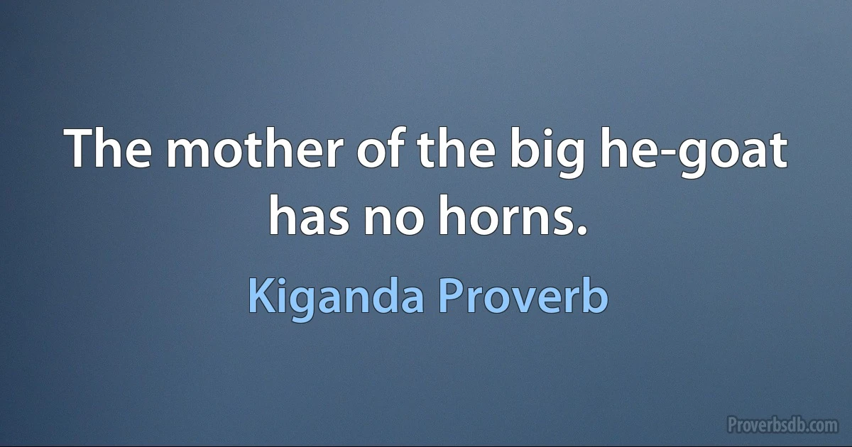 The mother of the big he-goat has no horns. (Kiganda Proverb)