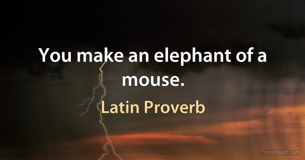 You make an elephant of a mouse. (Latin Proverb)