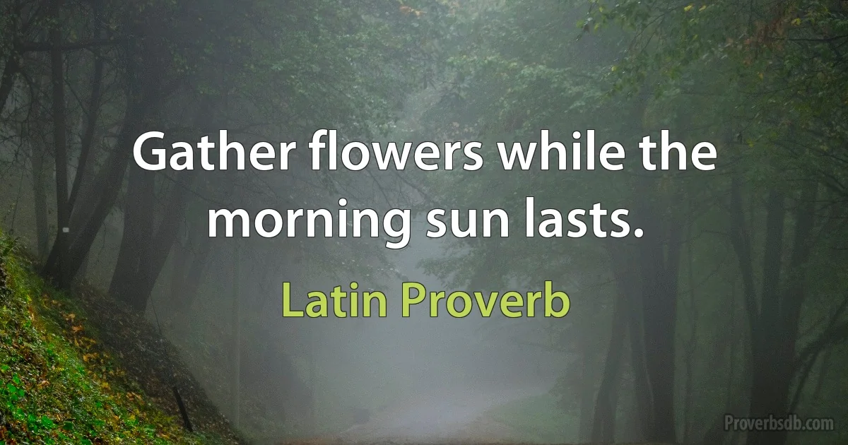 Gather flowers while the morning sun lasts. (Latin Proverb)