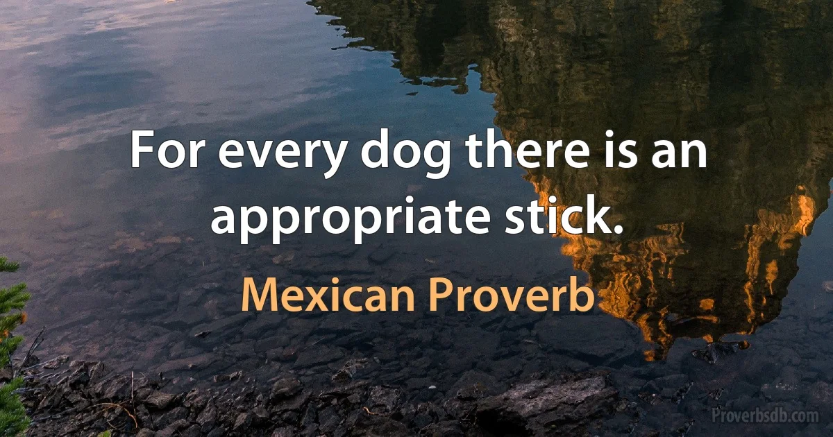 For every dog there is an appropriate stick. (Mexican Proverb)