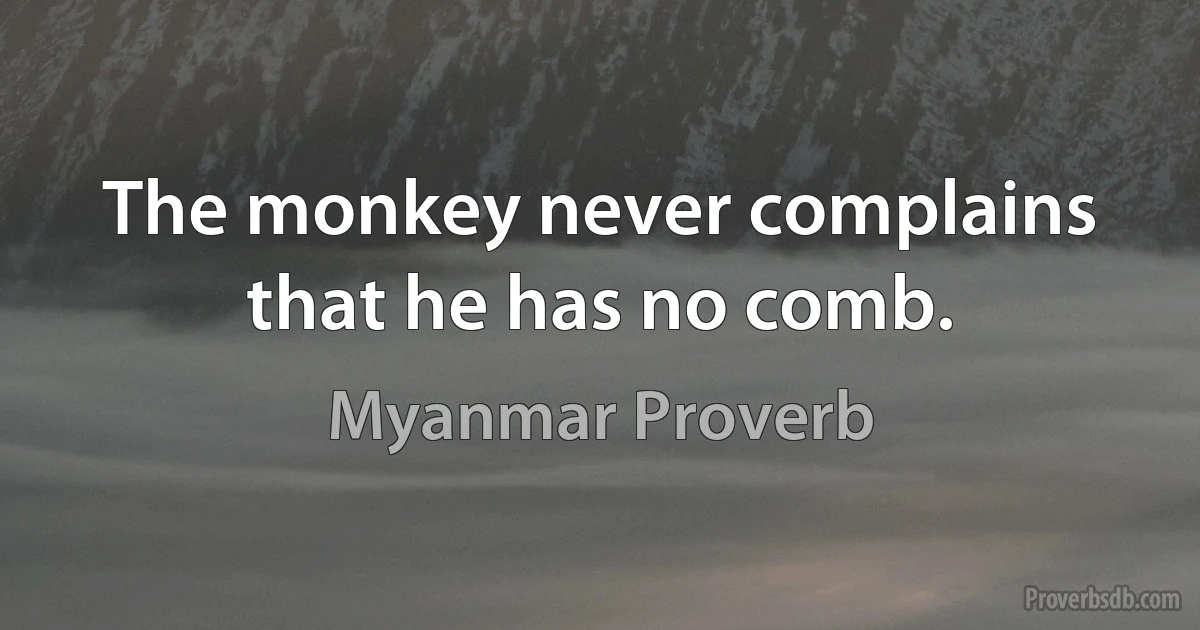 The monkey never complains that he has no comb. (Myanmar Proverb)