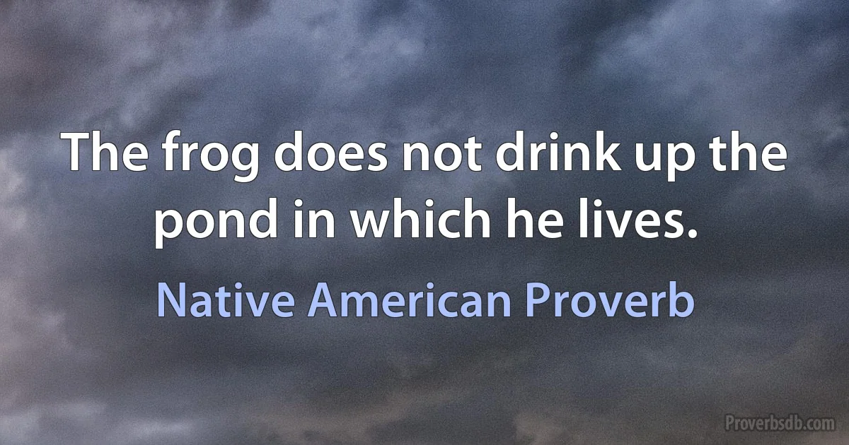 The frog does not drink up the pond in which he lives. (Native American Proverb)