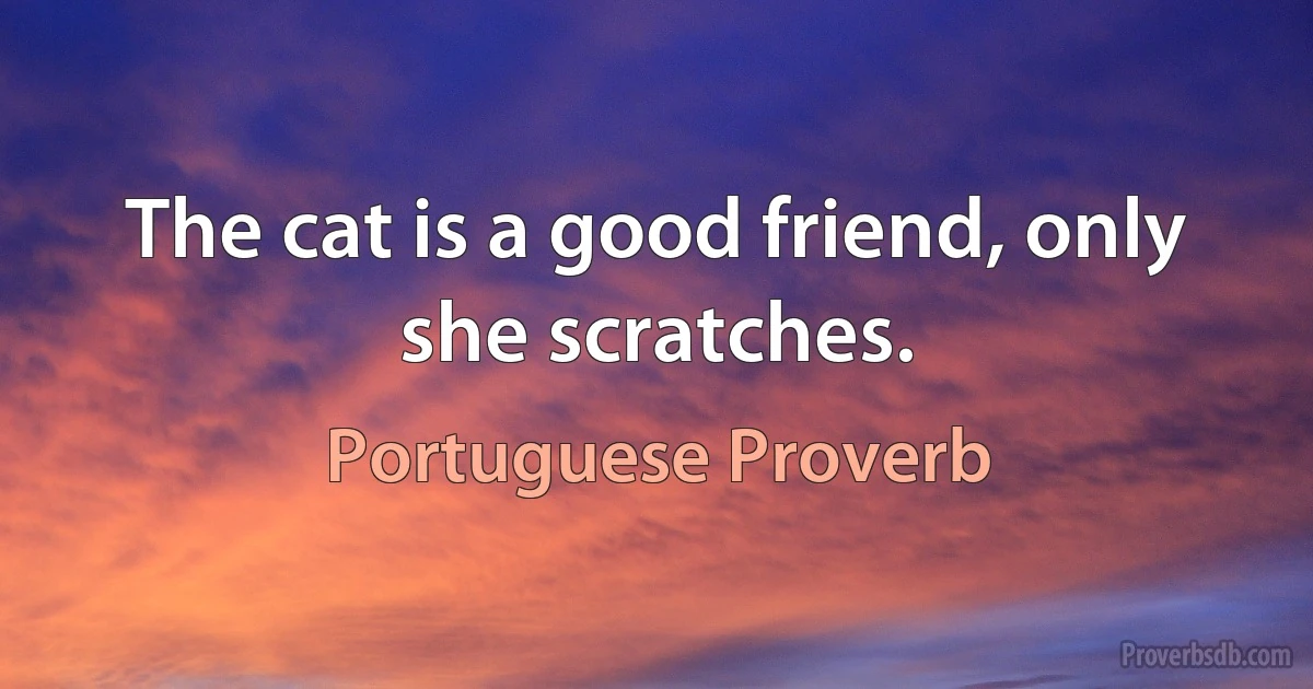 The cat is a good friend, only she scratches. (Portuguese Proverb)