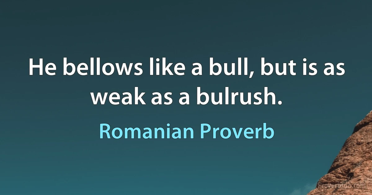 He bellows like a bull, but is as weak as a bulrush. (Romanian Proverb)