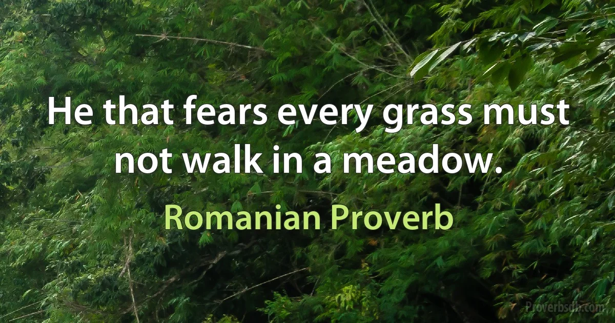 He that fears every grass must not walk in a meadow. (Romanian Proverb)