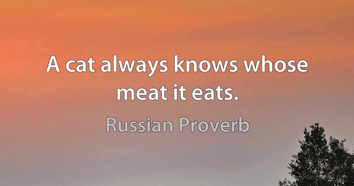 A cat always knows whose meat it eats. (Russian Proverb)