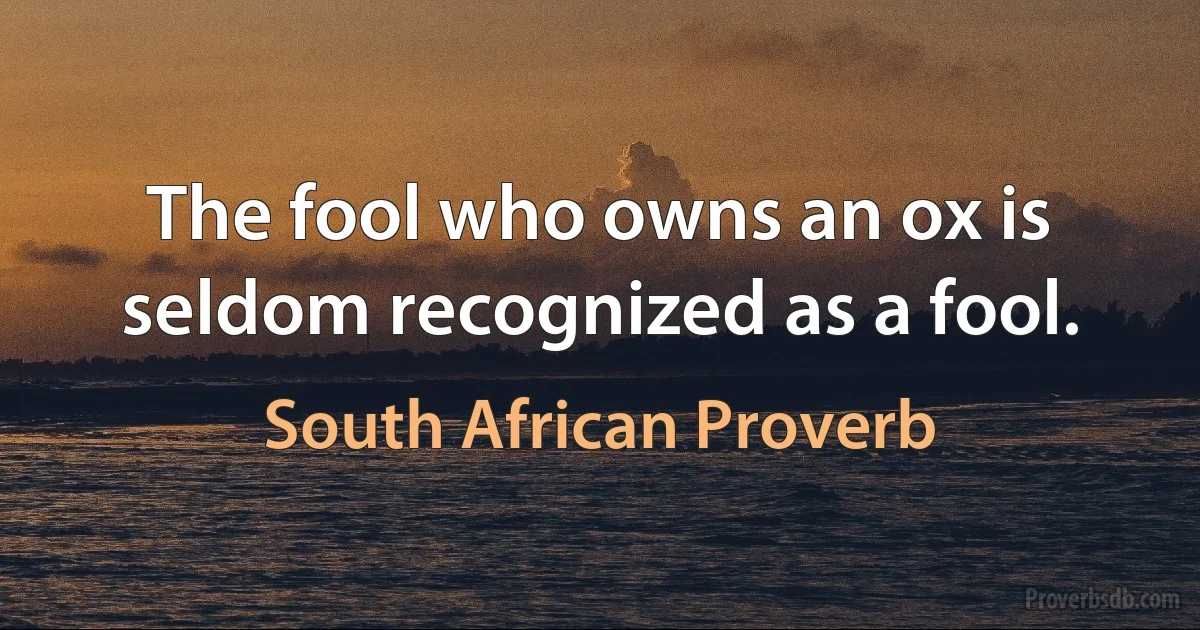 The fool who owns an ox is seldom recognized as a fool. (South African Proverb)