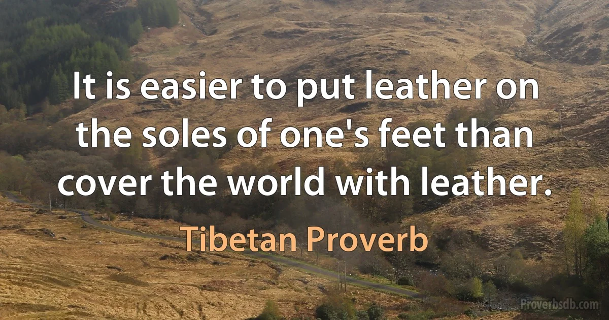 It is easier to put leather on the soles of one's feet than cover the world with leather. (Tibetan Proverb)