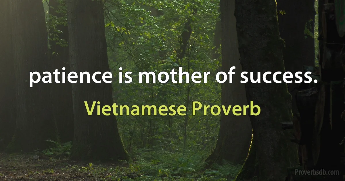 patience is mother of success. (Vietnamese Proverb)