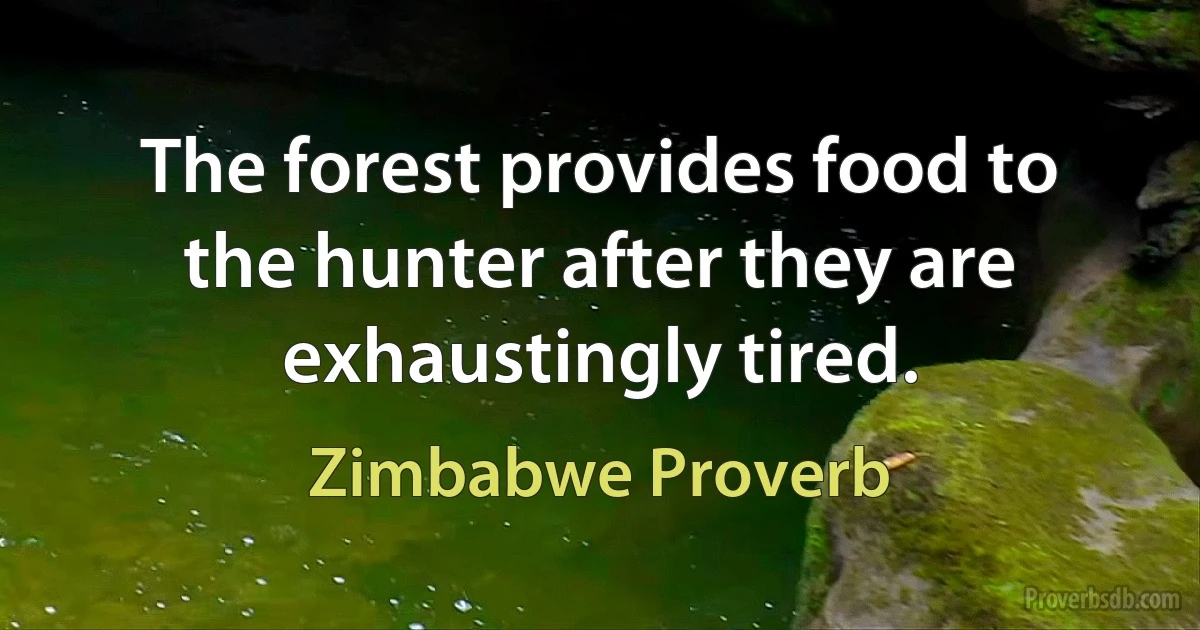 The forest provides food to the hunter after they are exhaustingly tired. (Zimbabwe Proverb)