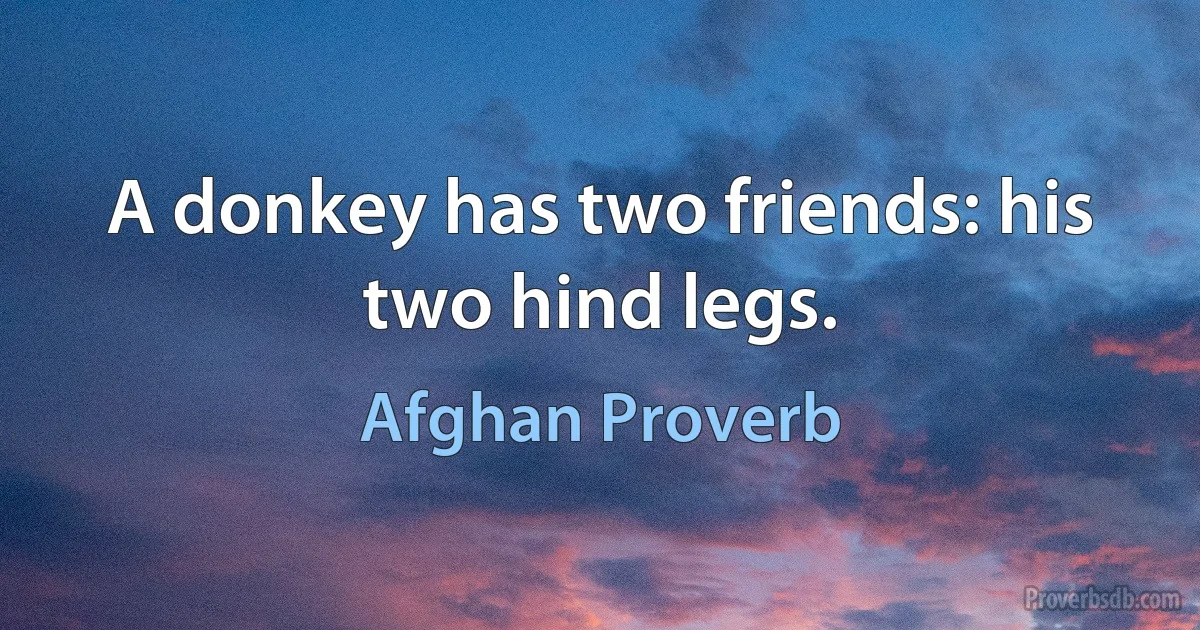 A donkey has two friends: his two hind legs. (Afghan Proverb)