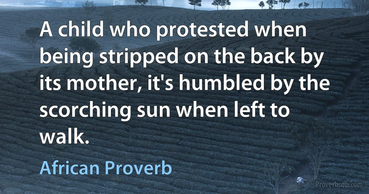 A child who protested when being stripped on the back by its mother, it's humbled by the scorching sun when left to walk. (African Proverb)