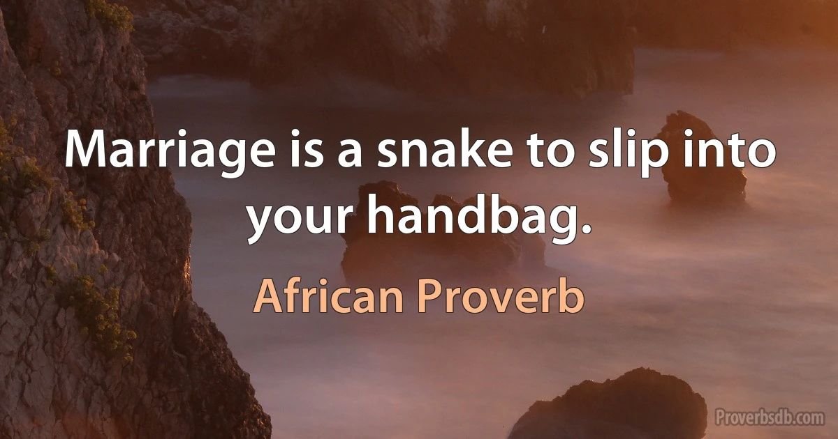 Marriage is a snake to slip into your handbag. (African Proverb)