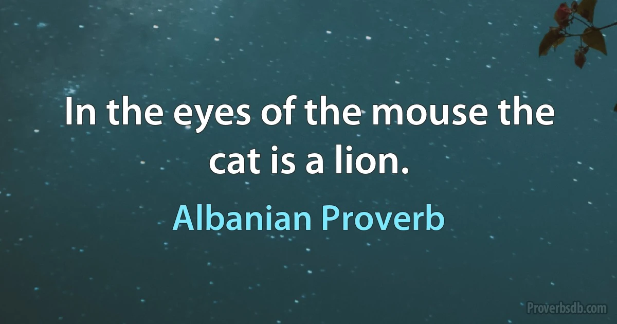 In the eyes of the mouse the cat is a lion. (Albanian Proverb)