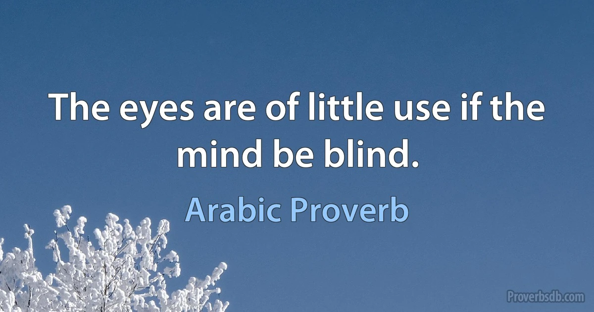 The eyes are of little use if the mind be blind. (Arabic Proverb)