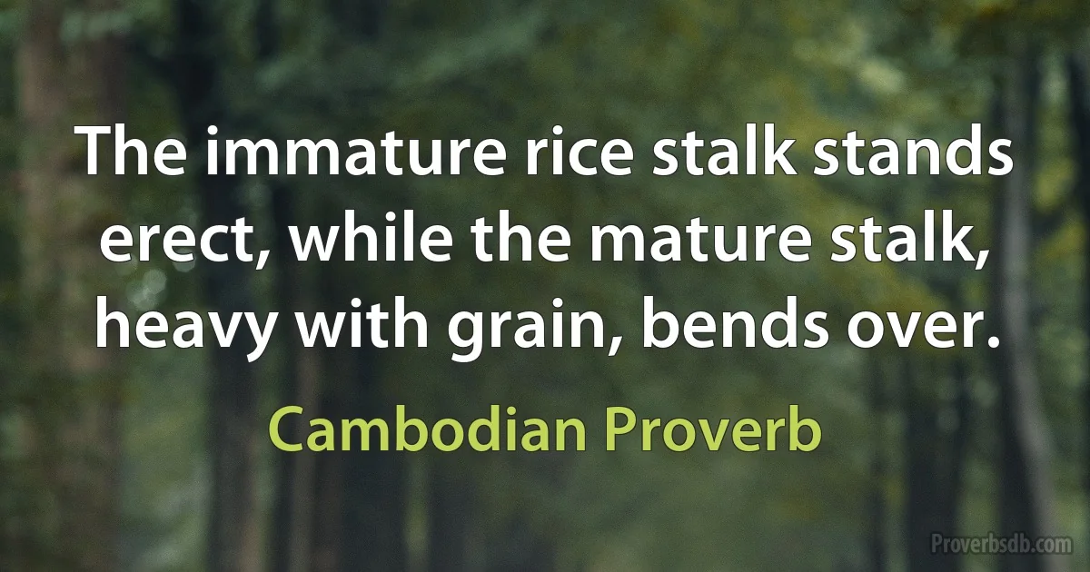 The immature rice stalk stands erect, while the mature stalk, heavy with grain, bends over. (Cambodian Proverb)