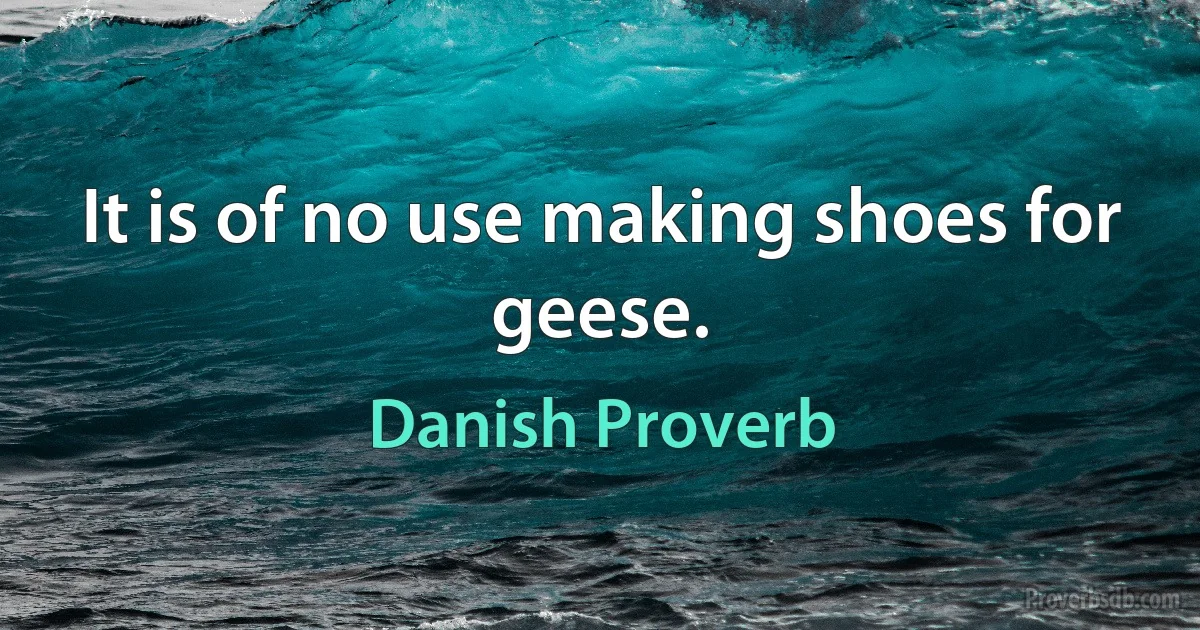 It is of no use making shoes for geese. (Danish Proverb)