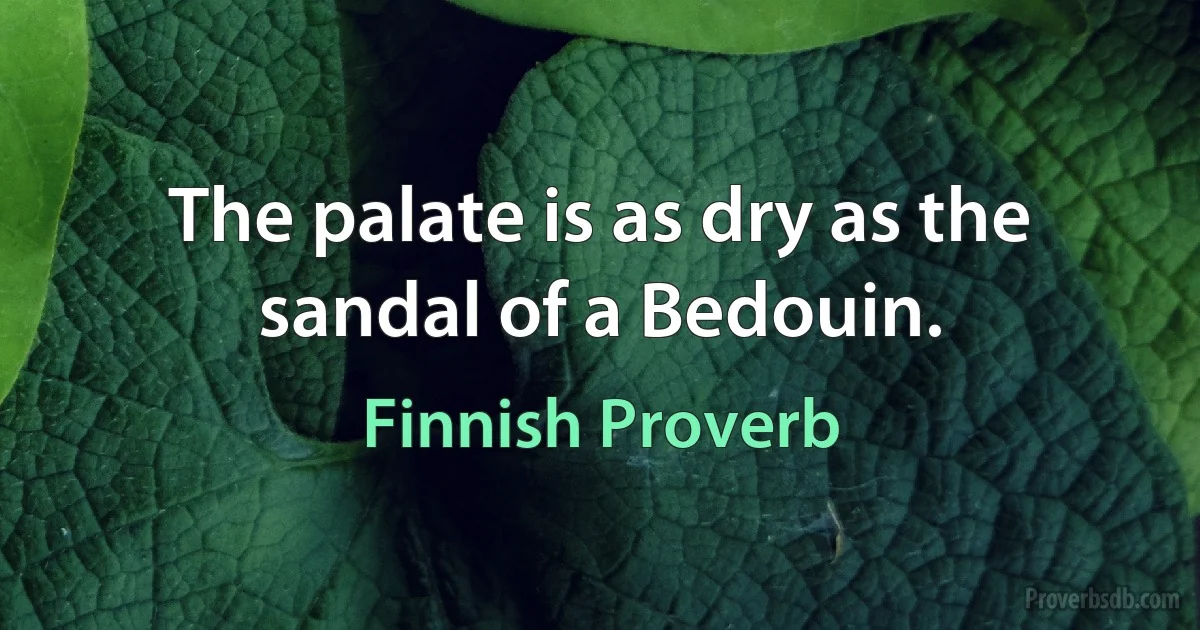 The palate is as dry as the sandal of a Bedouin. (Finnish Proverb)