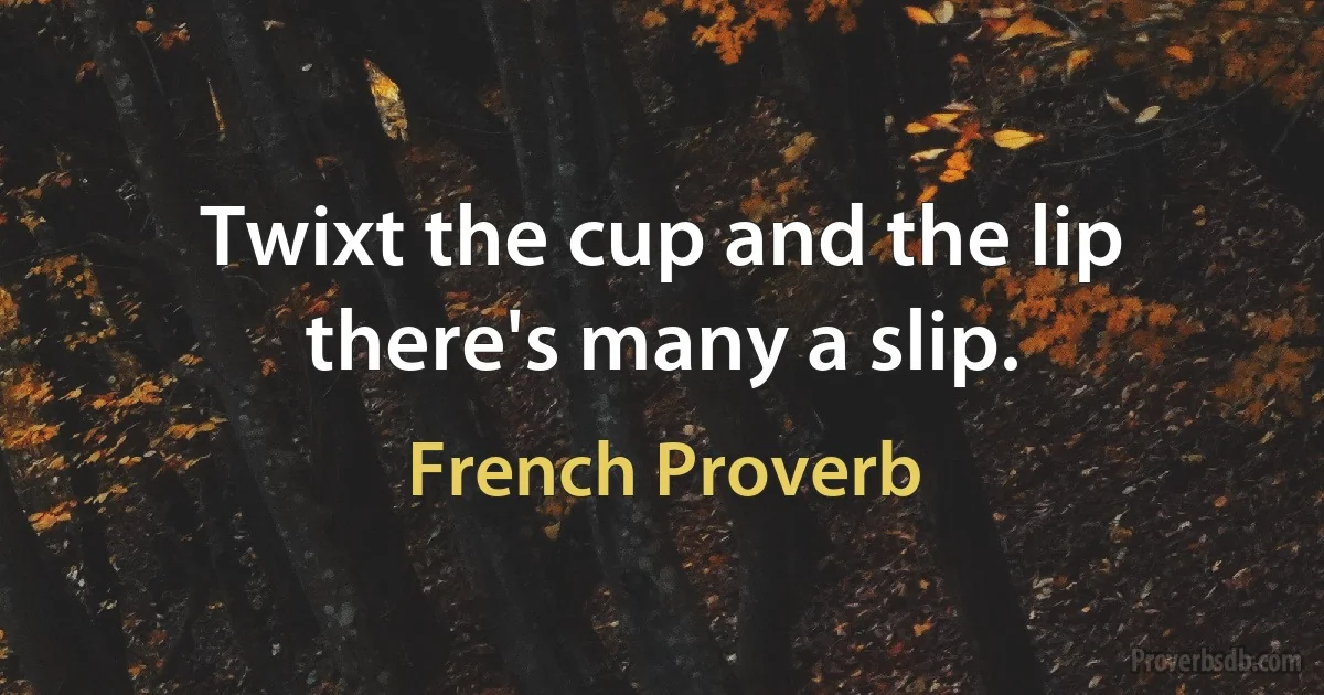 Twixt the cup and the lip there's many a slip. (French Proverb)