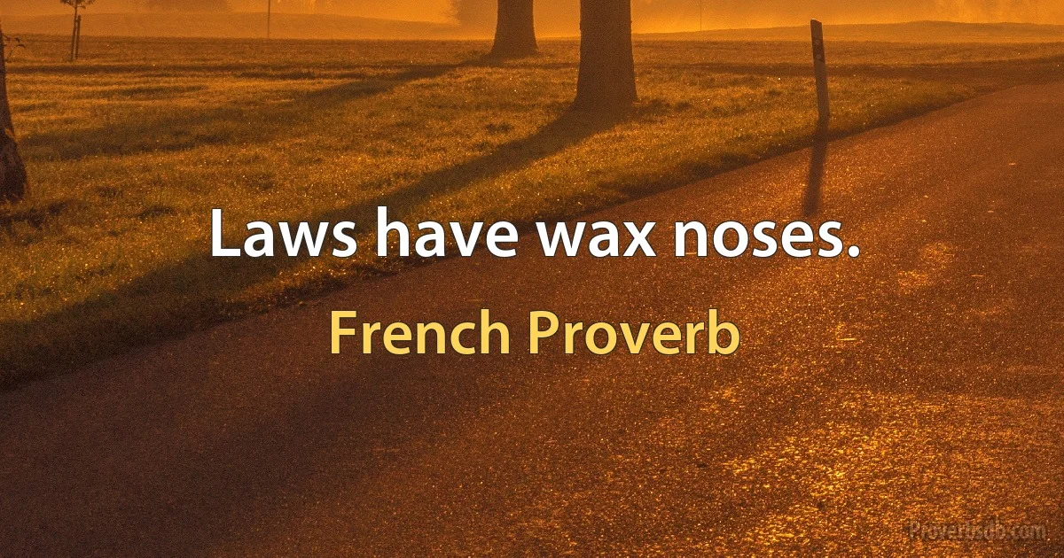 Laws have wax noses. (French Proverb)