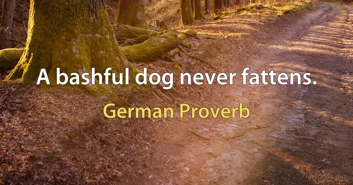 A bashful dog never fattens. (German Proverb)