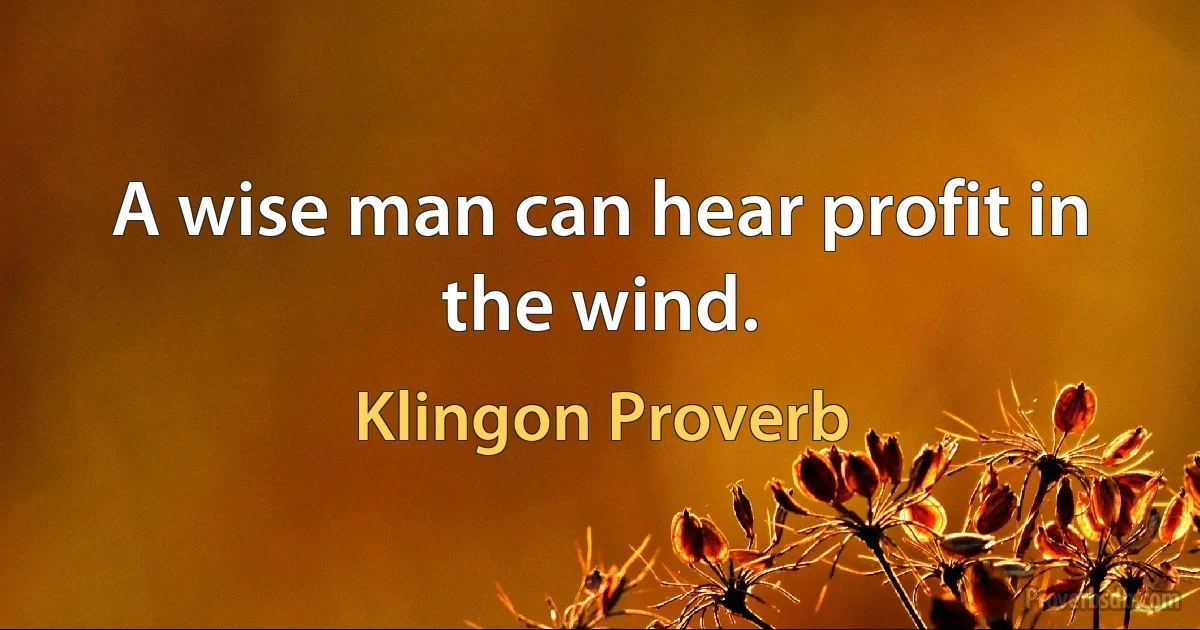 A wise man can hear profit in the wind. (Klingon Proverb)