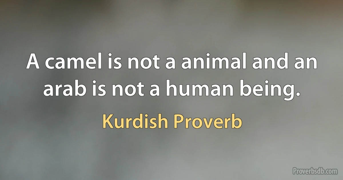 A camel is not a animal and an arab is not a human being. (Kurdish Proverb)