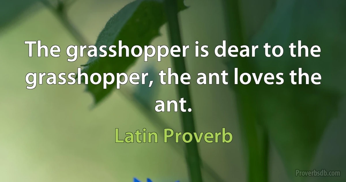 The grasshopper is dear to the grasshopper, the ant loves the ant. (Latin Proverb)