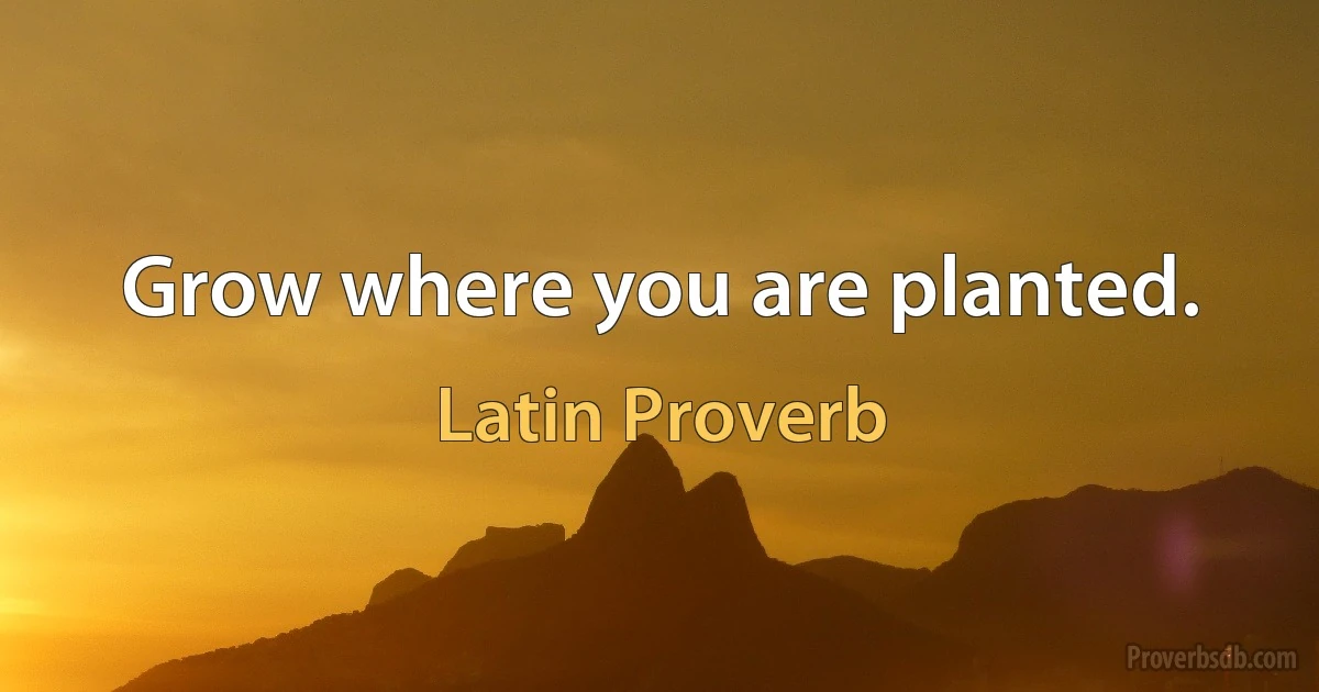 Grow where you are planted. (Latin Proverb)