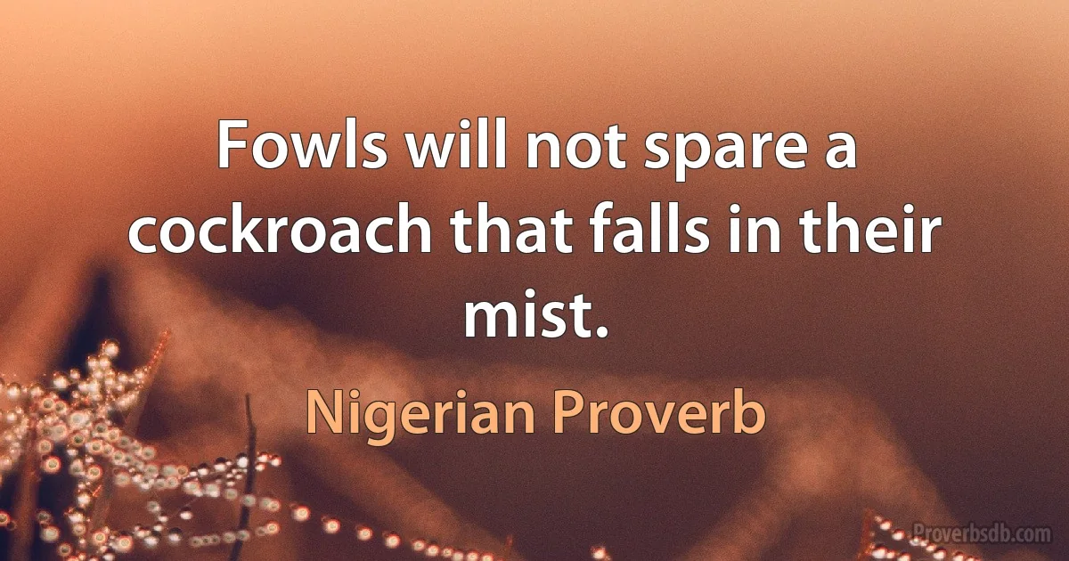 Fowls will not spare a cockroach that falls in their mist. (Nigerian Proverb)