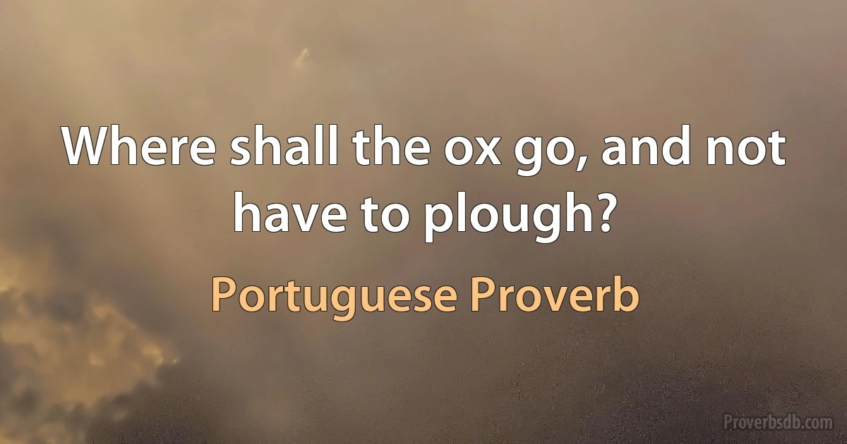 Where shall the ox go, and not have to plough? (Portuguese Proverb)