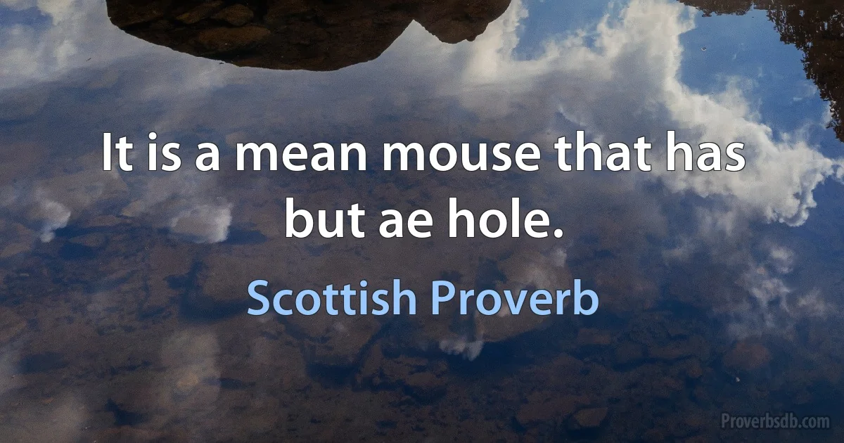 It is a mean mouse that has but ae hole. (Scottish Proverb)