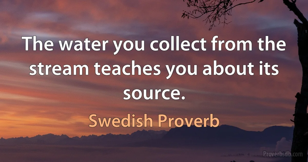 The water you collect from the stream teaches you about its source. (Swedish Proverb)