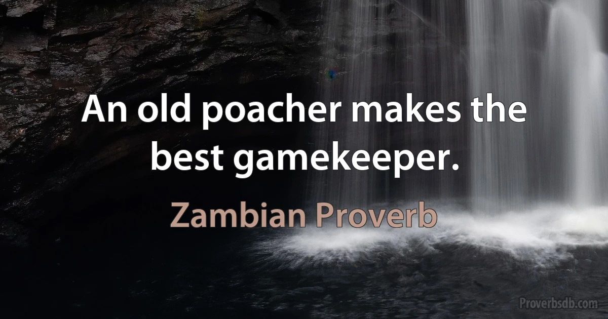 An old poacher makes the best gamekeeper. (Zambian Proverb)