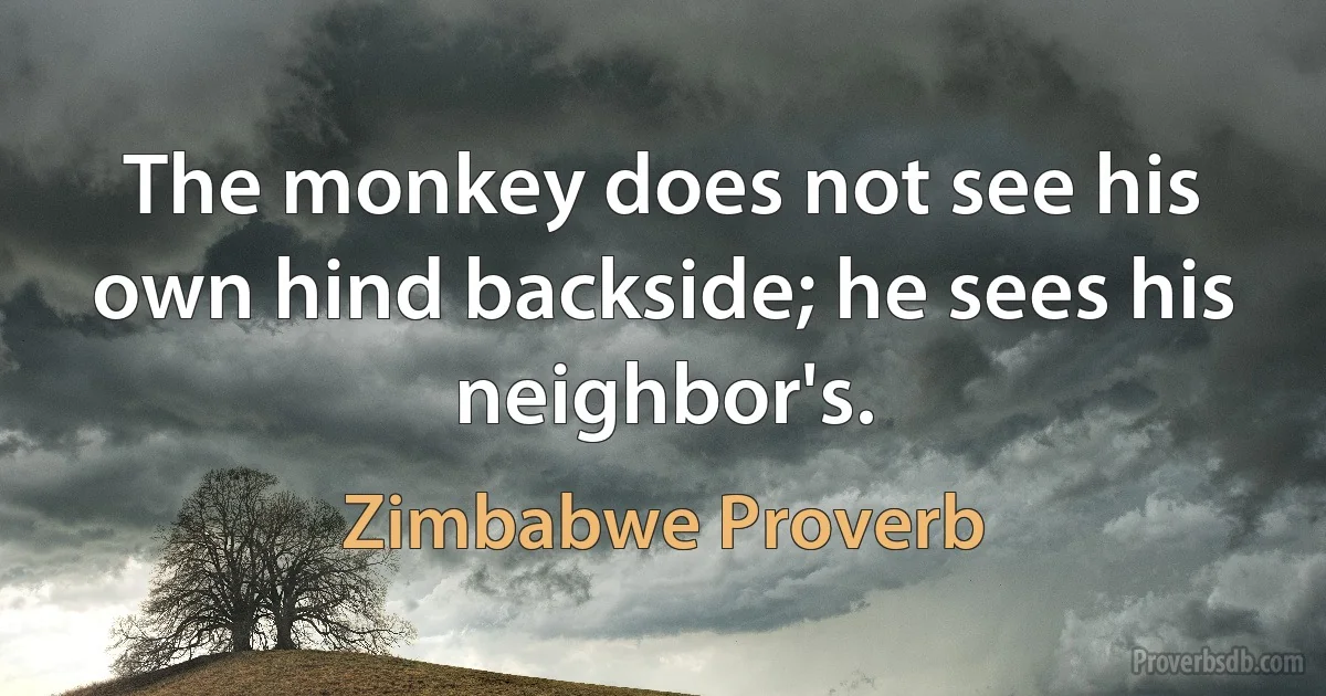 The monkey does not see his own hind backside; he sees his neighbor's. (Zimbabwe Proverb)