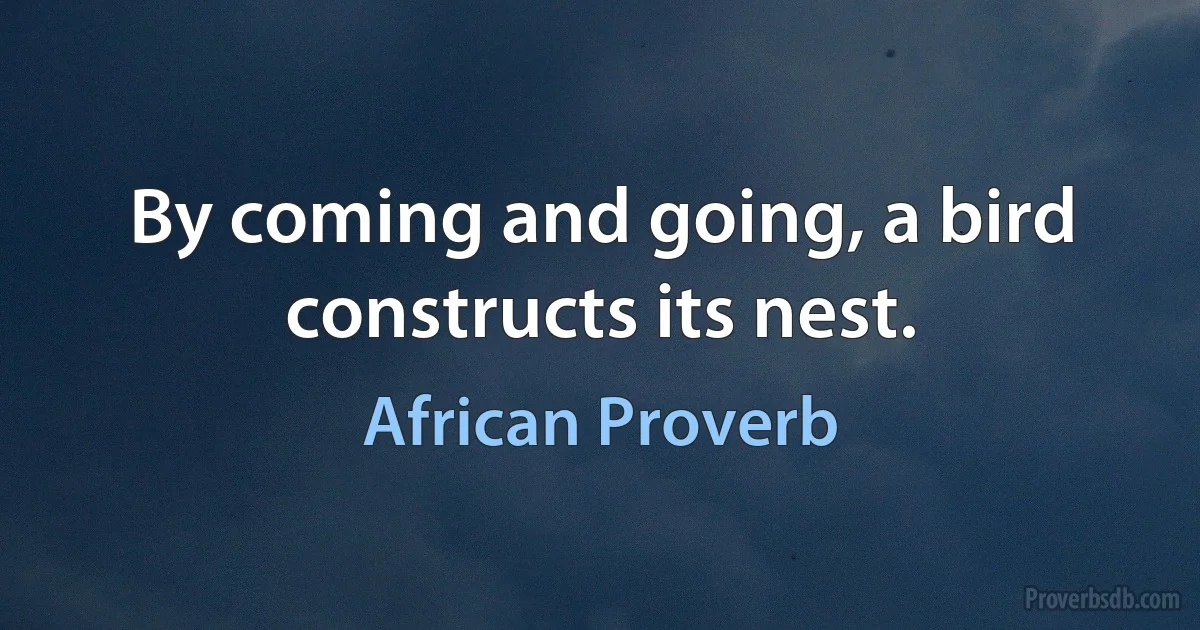 By coming and going, a bird constructs its nest. (African Proverb)