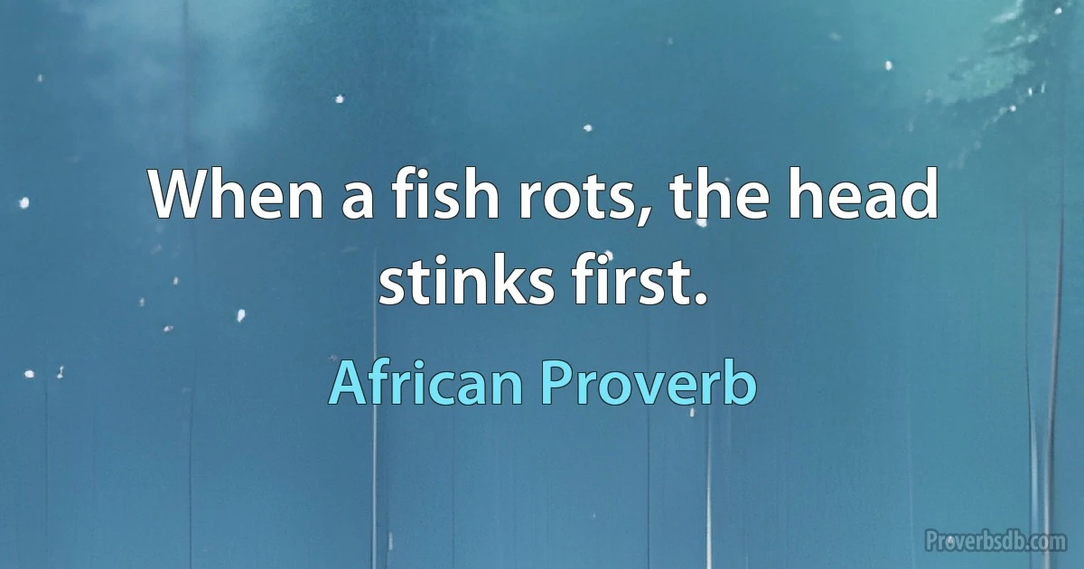 When a fish rots, the head stinks first. (African Proverb)