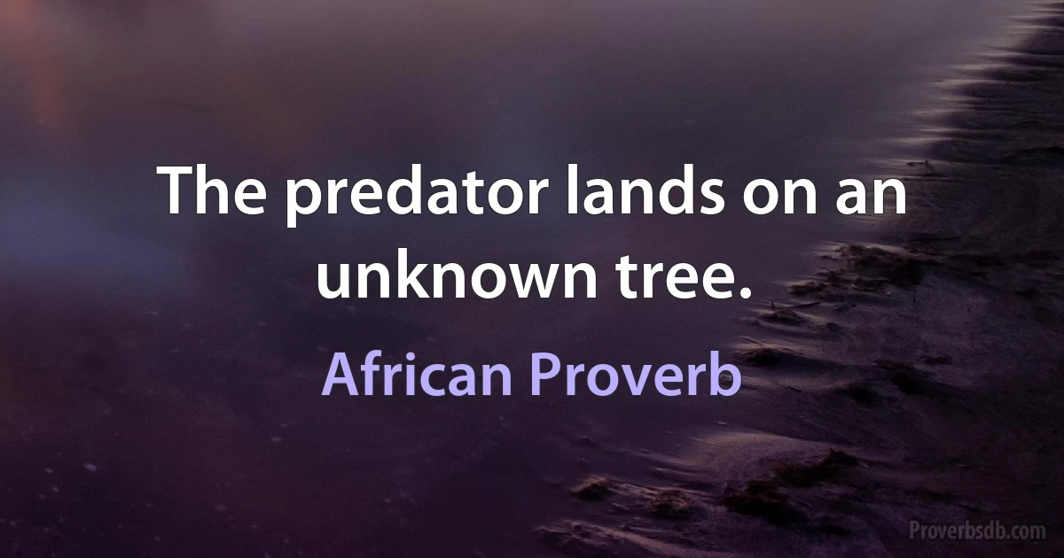 The predator lands on an unknown tree. (African Proverb)