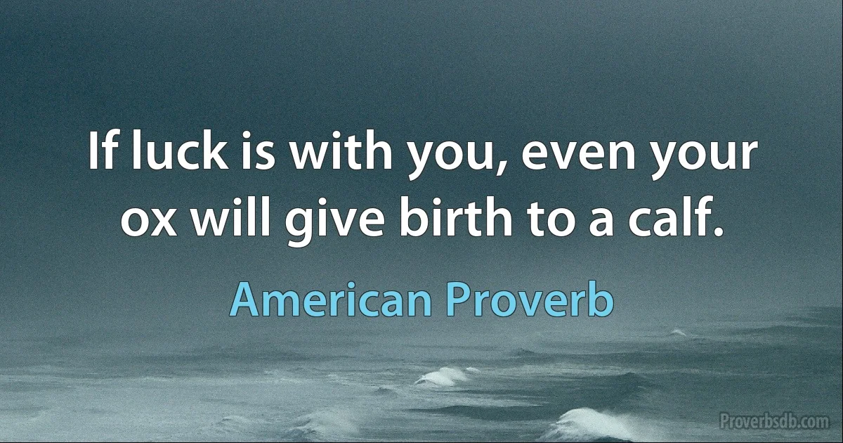 If luck is with you, even your ox will give birth to a calf. (American Proverb)