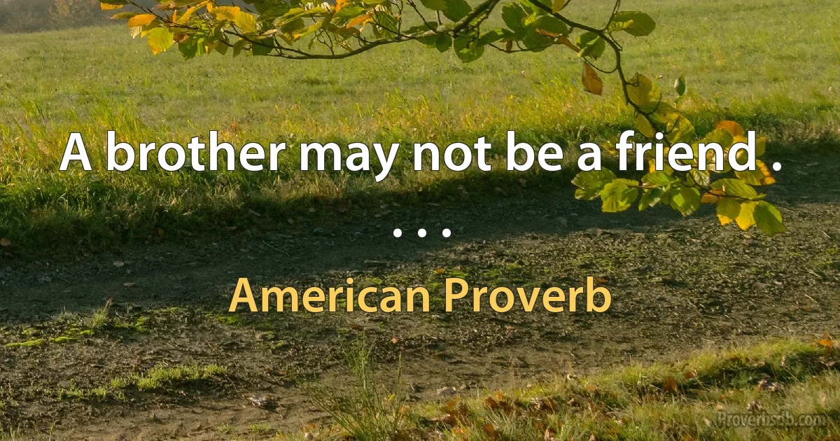 A brother may not be a friend . . . . (American Proverb)