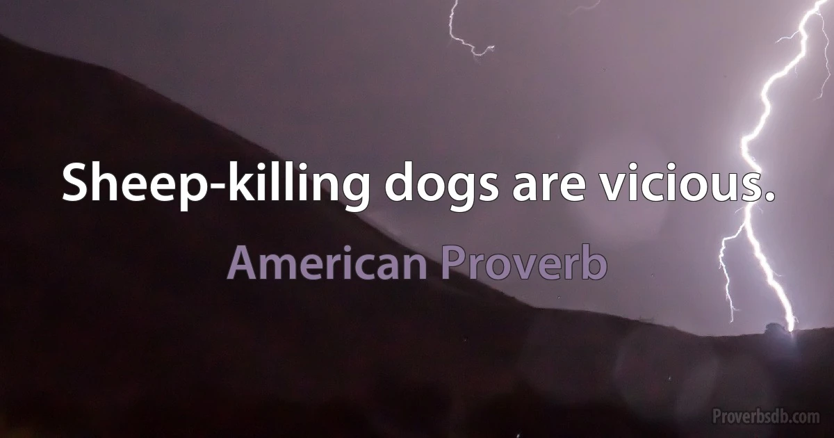 Sheep-killing dogs are vicious. (American Proverb)