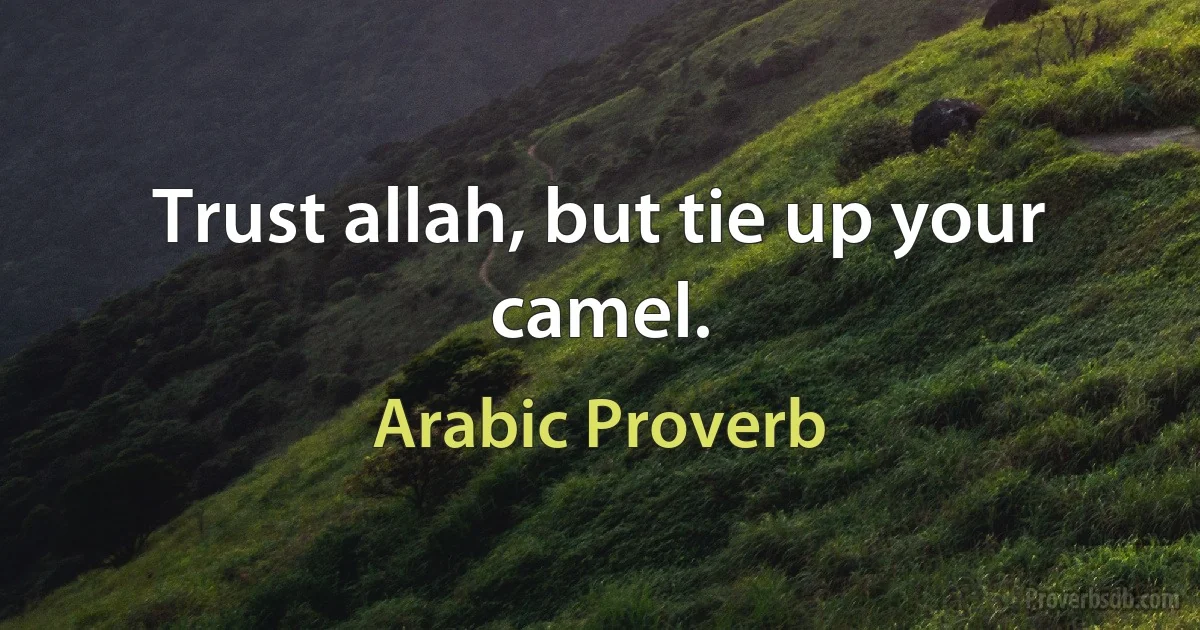 Trust allah, but tie up your camel. (Arabic Proverb)