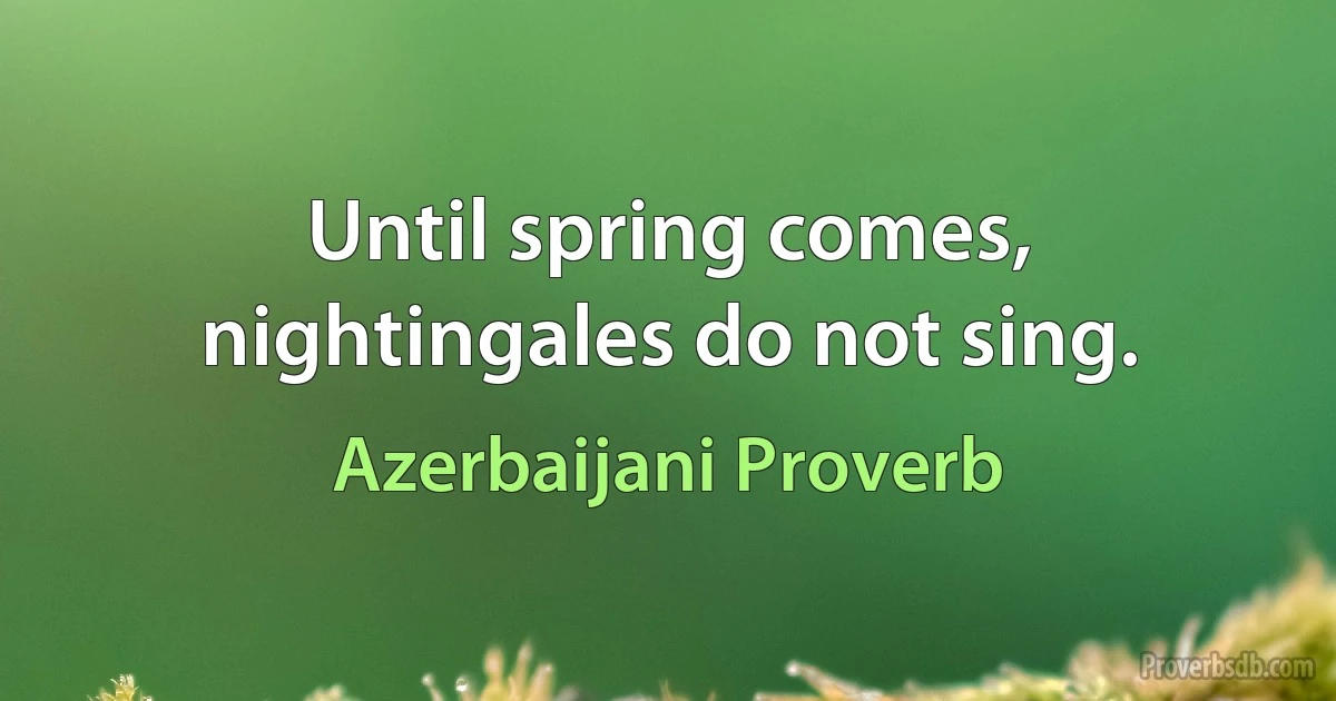 Until spring comes, nightingales do not sing. (Azerbaijani Proverb)