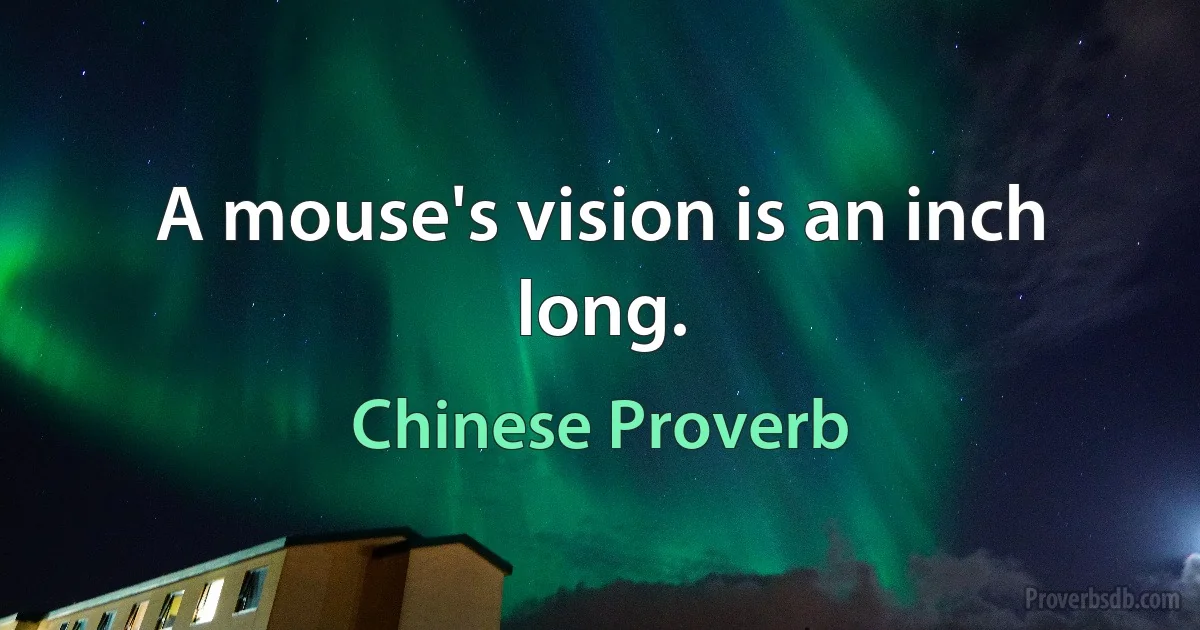 A mouse's vision is an inch long. (Chinese Proverb)