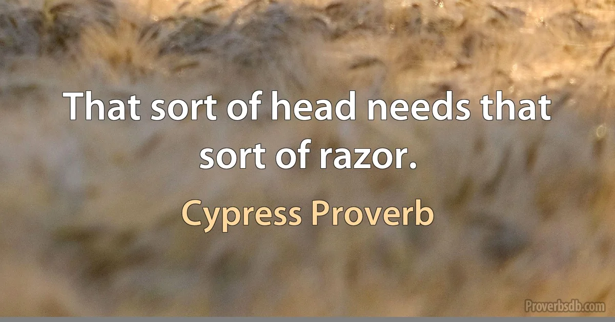 That sort of head needs that sort of razor. (Cypress Proverb)