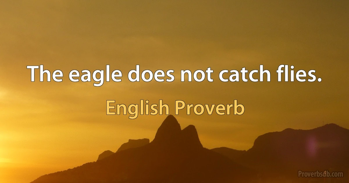 The eagle does not catch flies. (English Proverb)