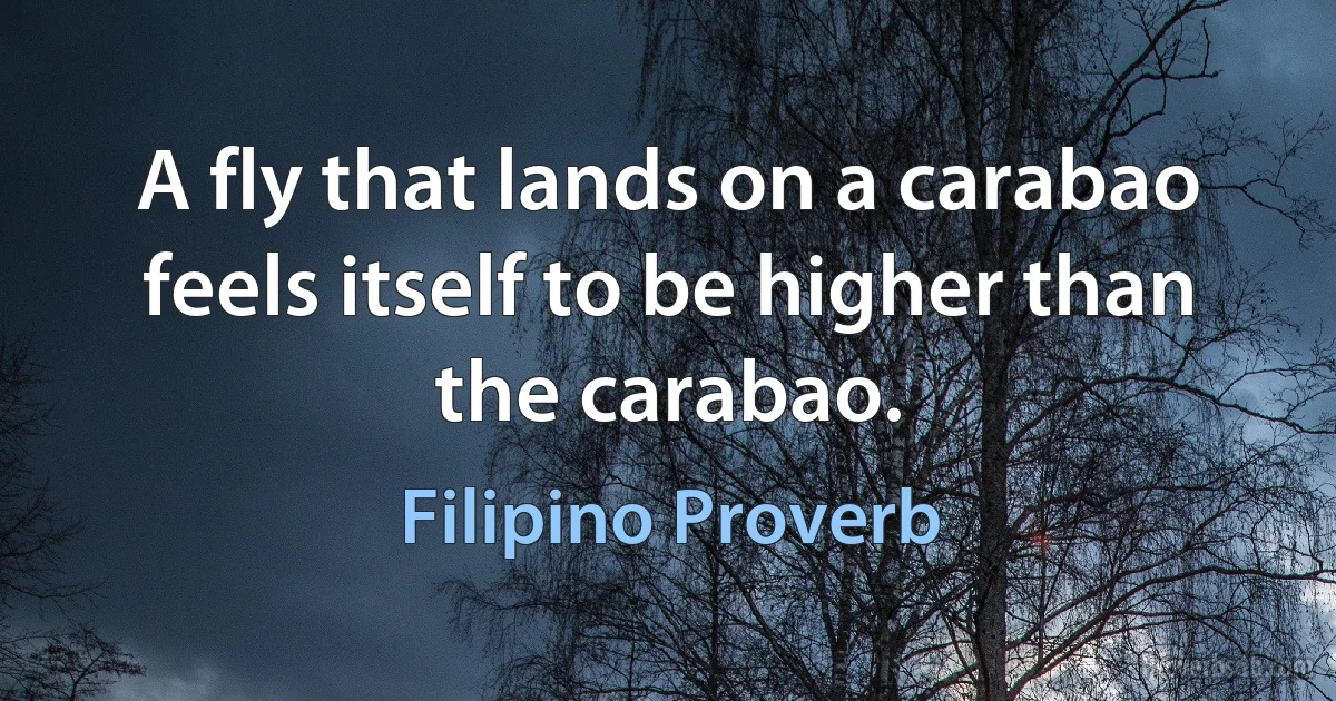 A fly that lands on a carabao feels itself to be higher than the carabao. (Filipino Proverb)