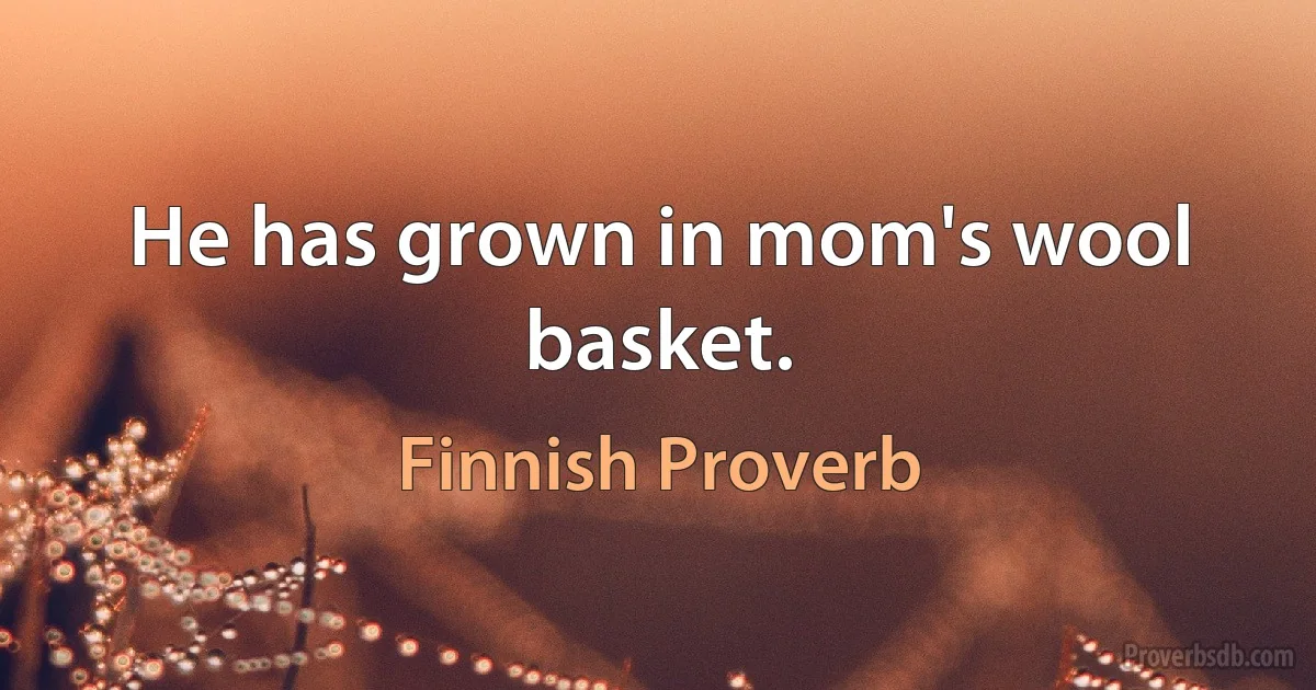 He has grown in mom's wool basket. (Finnish Proverb)