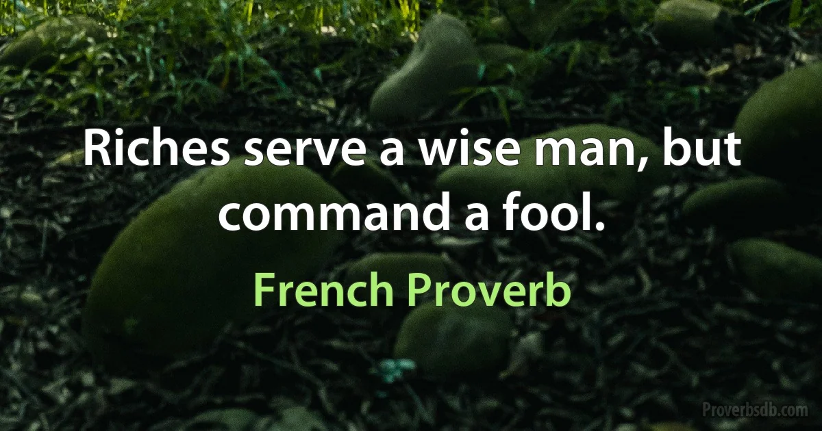 Riches serve a wise man, but command a fool. (French Proverb)